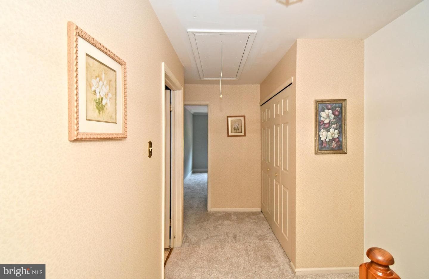 21 Violet Lane photo 12