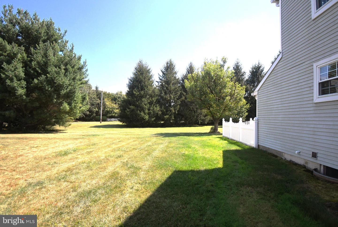 21 Violet Lane photo 27