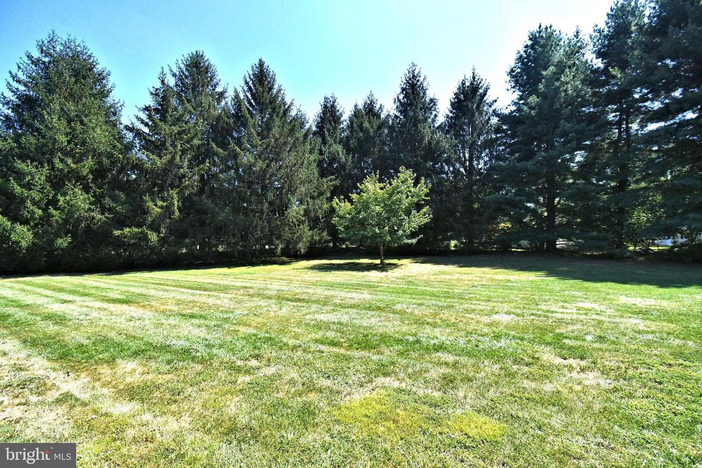 21 Violet Lane photo 31