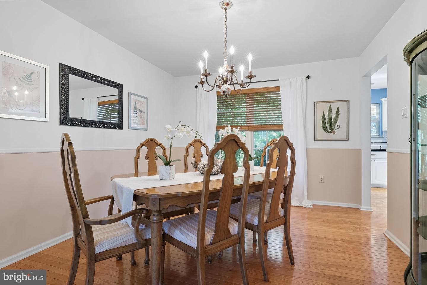 527 Clydesdale Drive photo 8