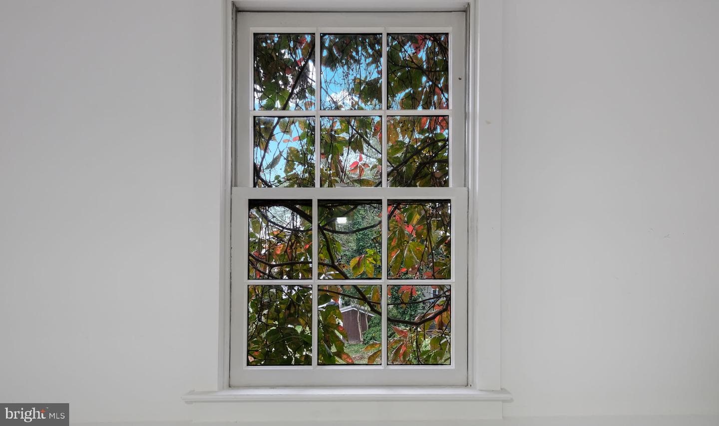 148 Lafayette Street photo 48