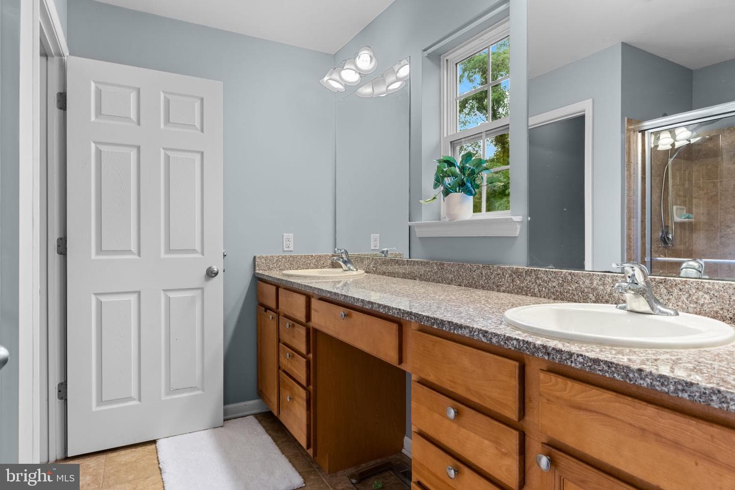 313 Chestnut Court photo 22