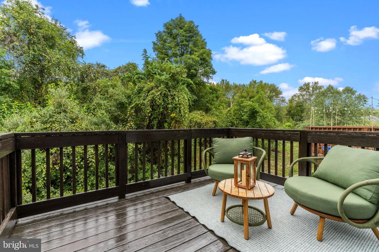 313 Chestnut Court photo 33