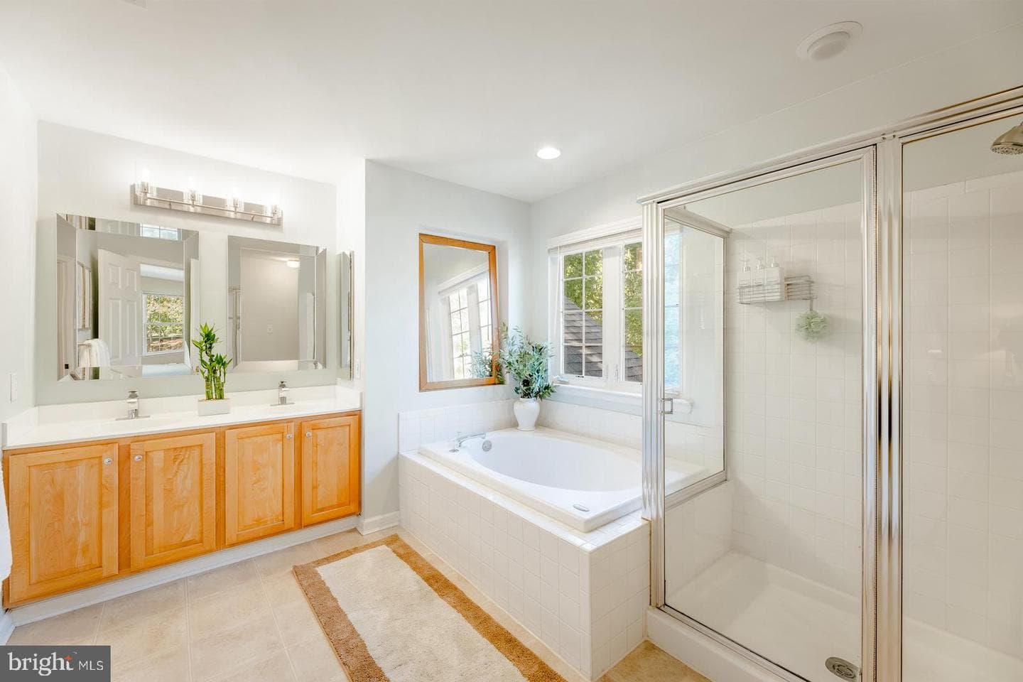 4438 Summer Meadow Drive photo 22