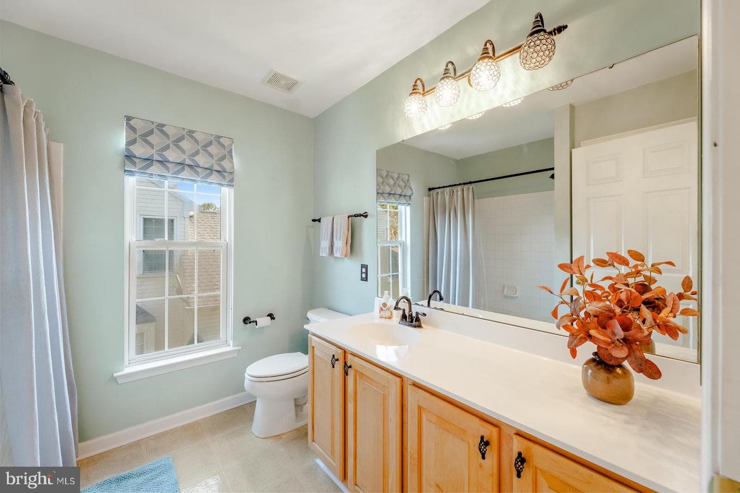 4438 Summer Meadow Drive photo 27