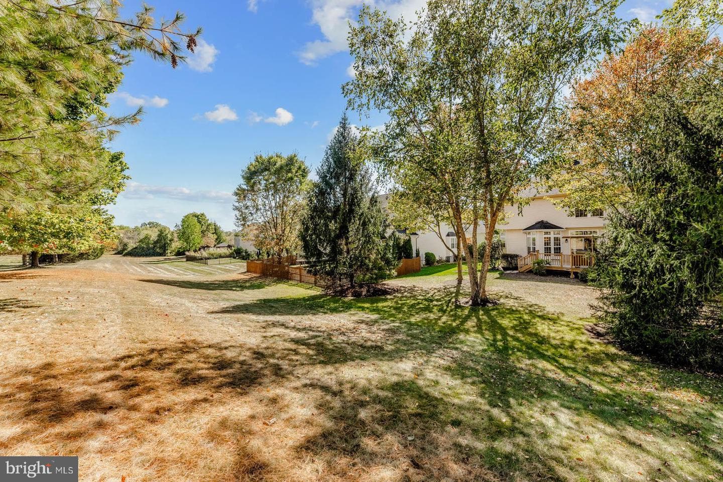 4438 Summer Meadow Drive photo 39