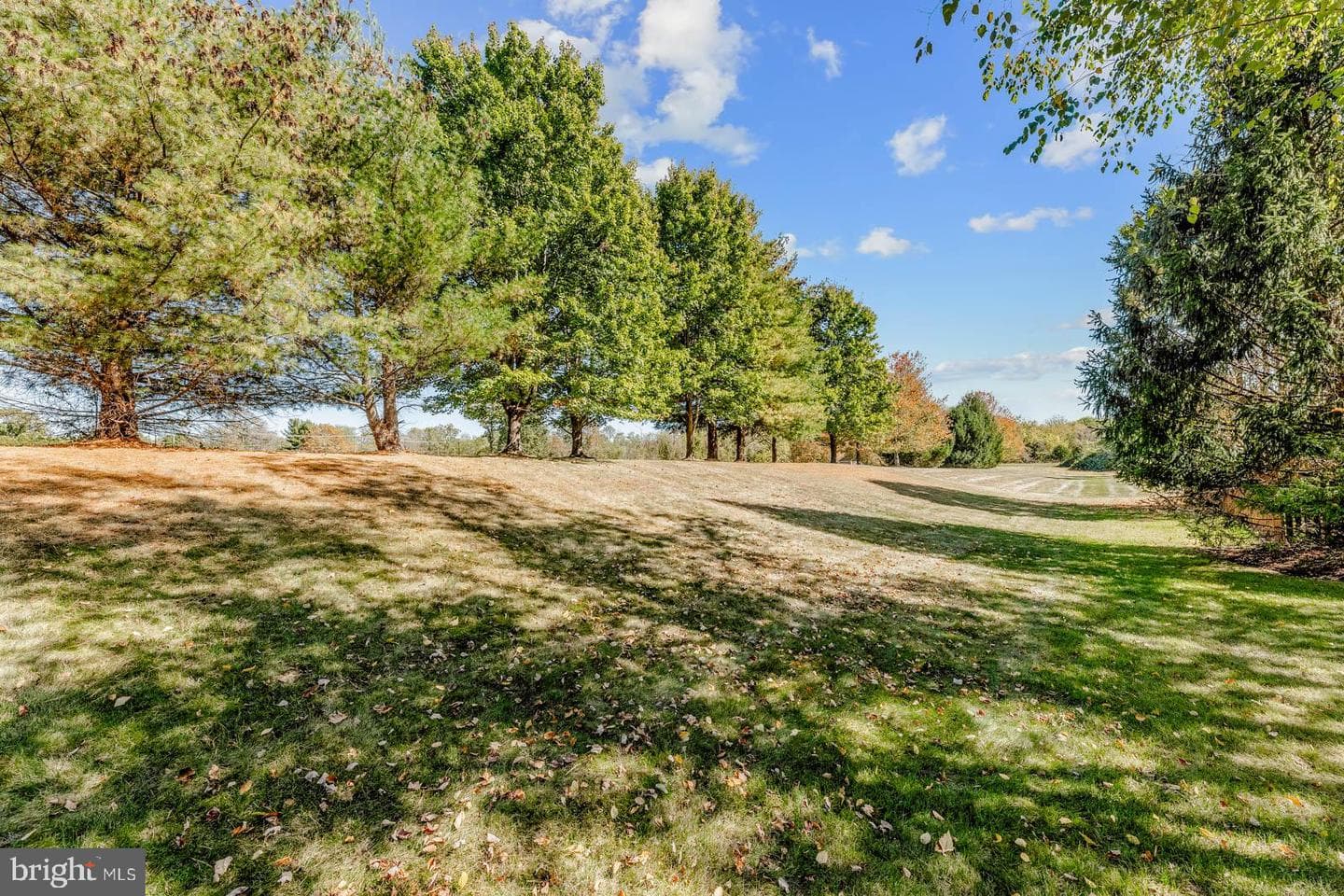 4438 Summer Meadow Drive photo 40