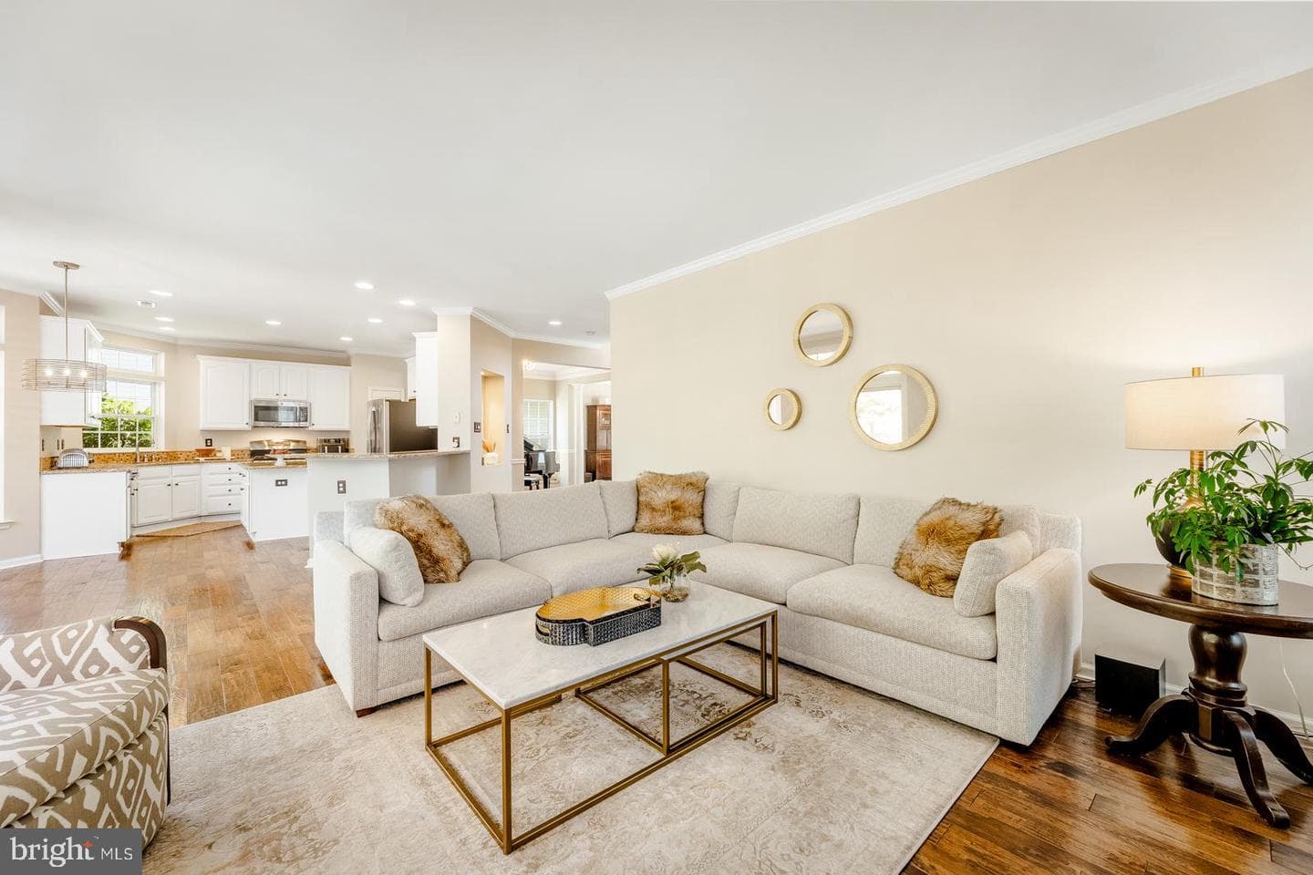 4438 Summer Meadow Drive photo 9