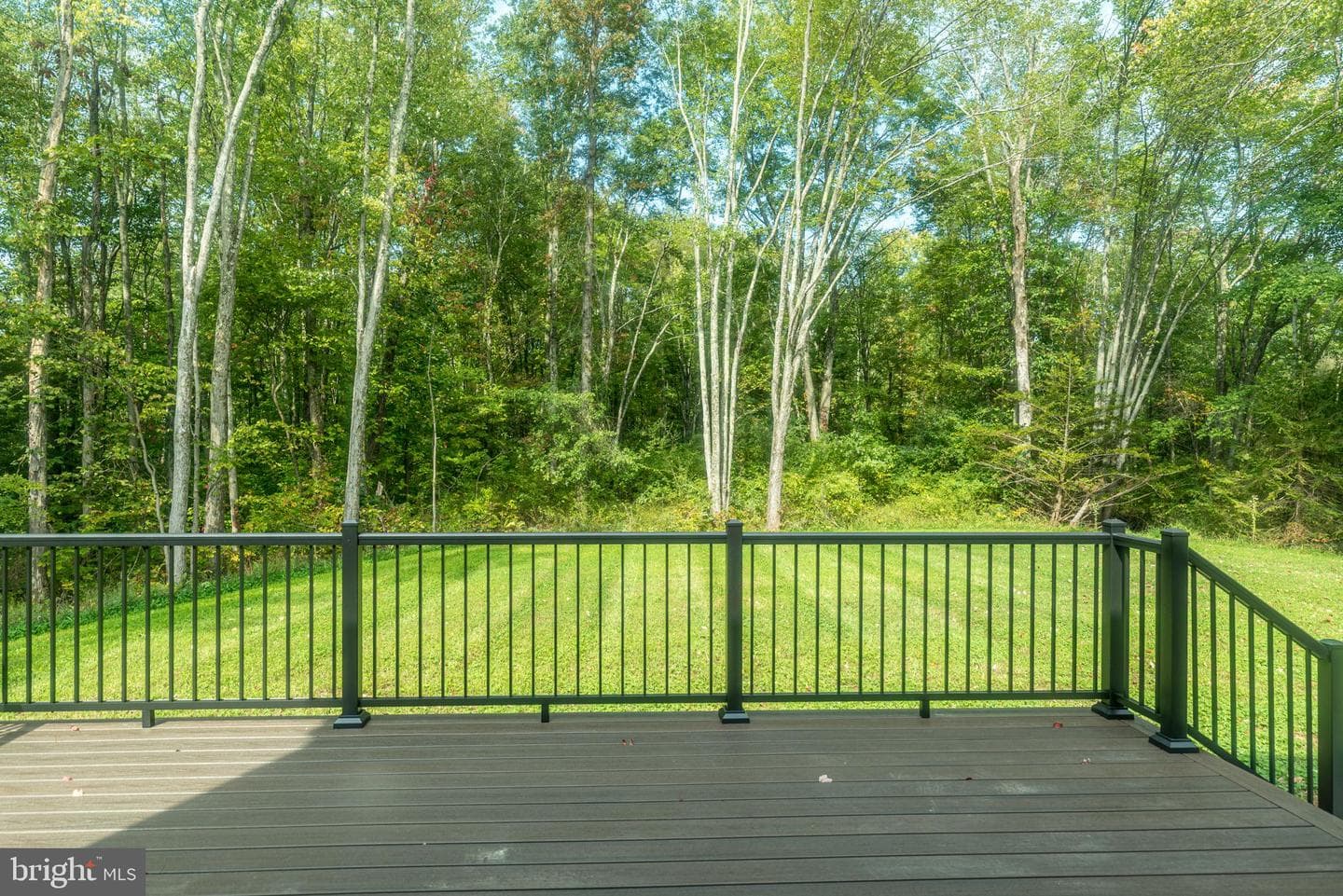 933 Forrest Road photo 23
