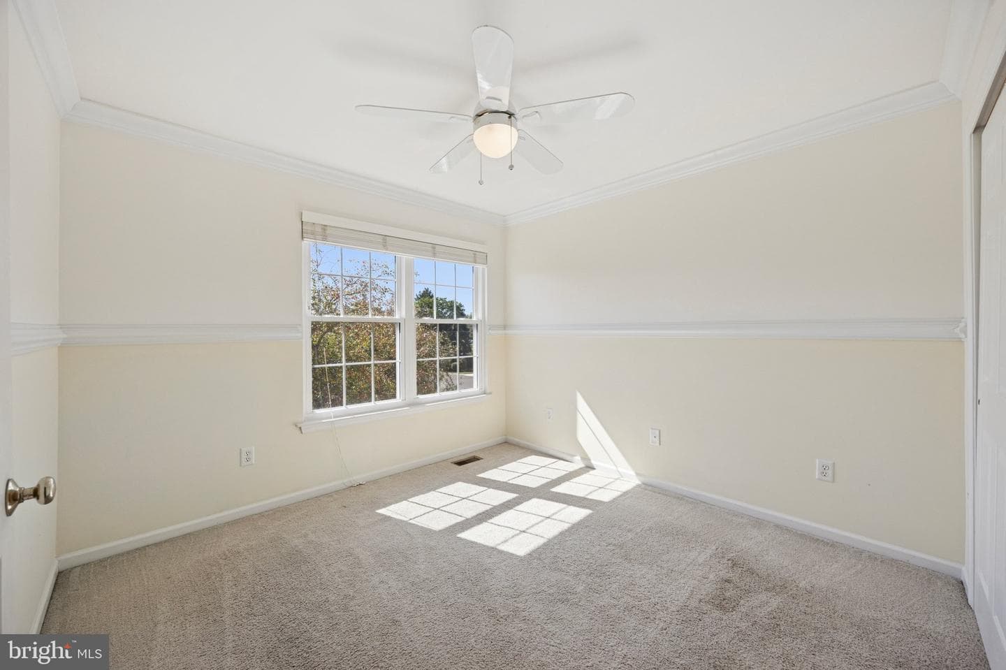108 Eagle Court #105 photo 10
