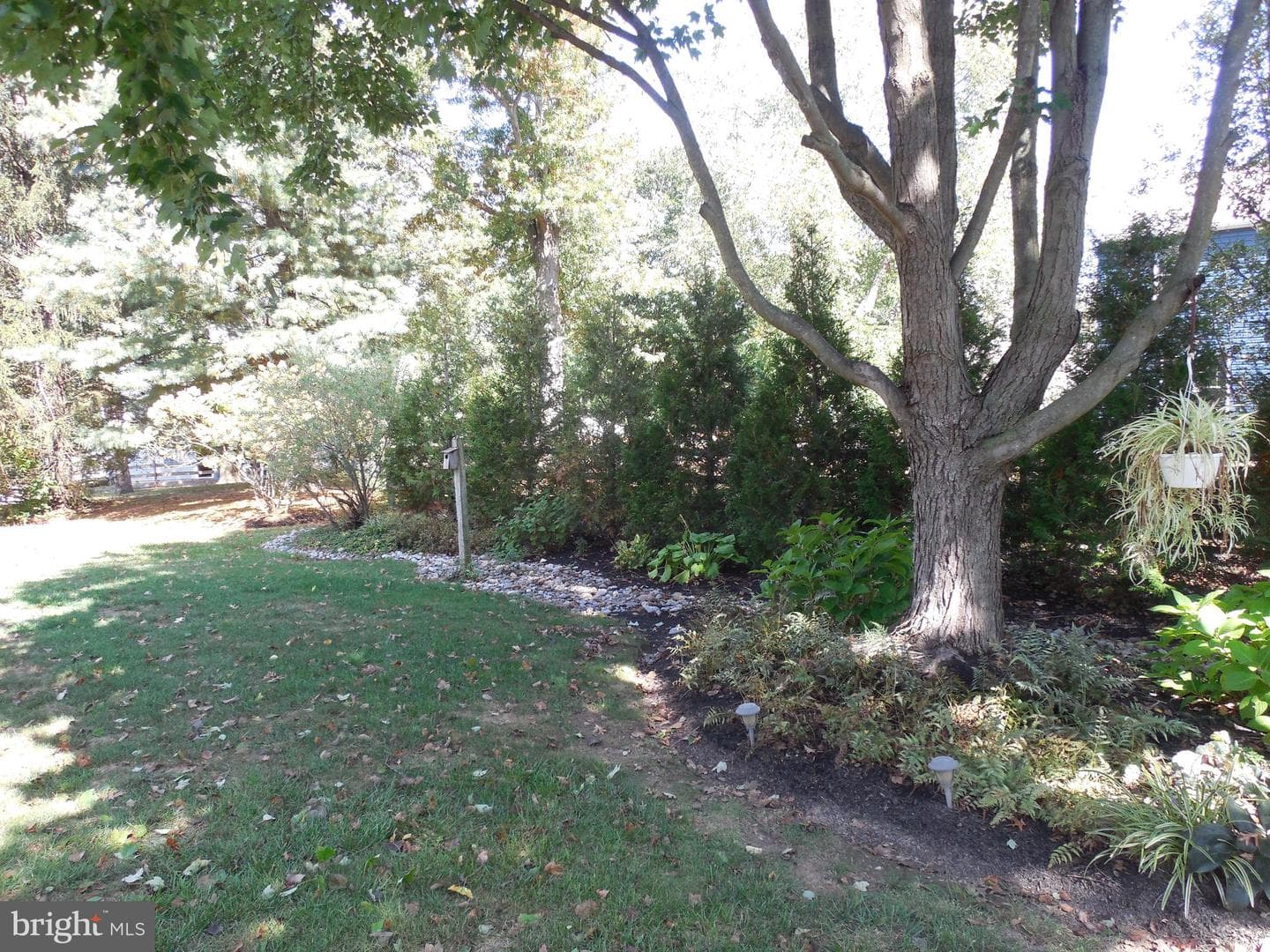 505 Nob Hill Drive photo 10