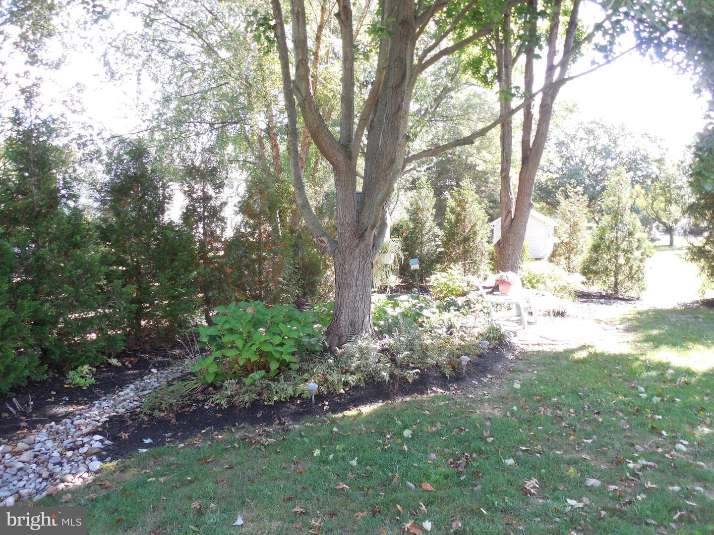 505 Nob Hill Drive photo 7