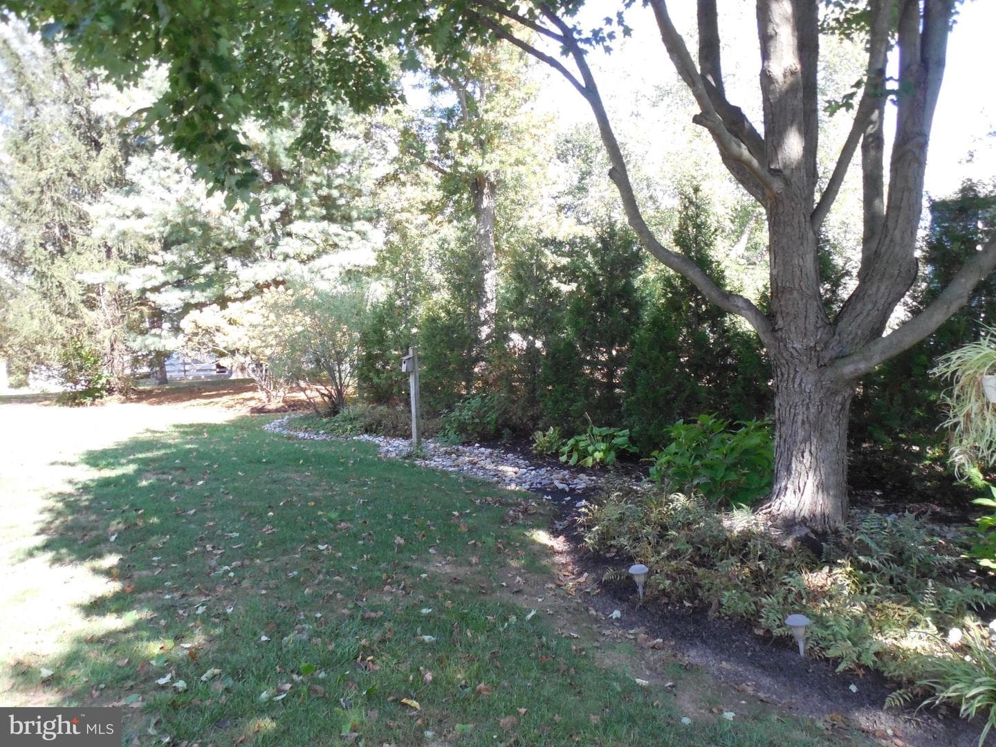 505 Nob Hill Drive photo 9