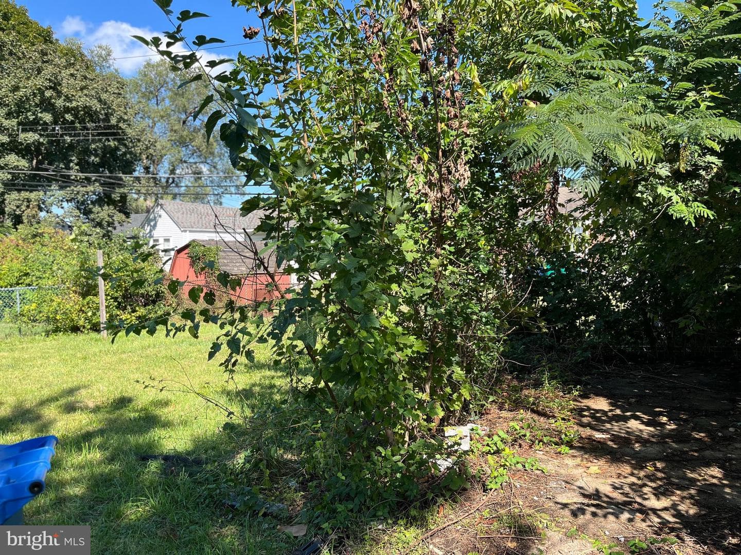 2205 Liberator Street photo 4