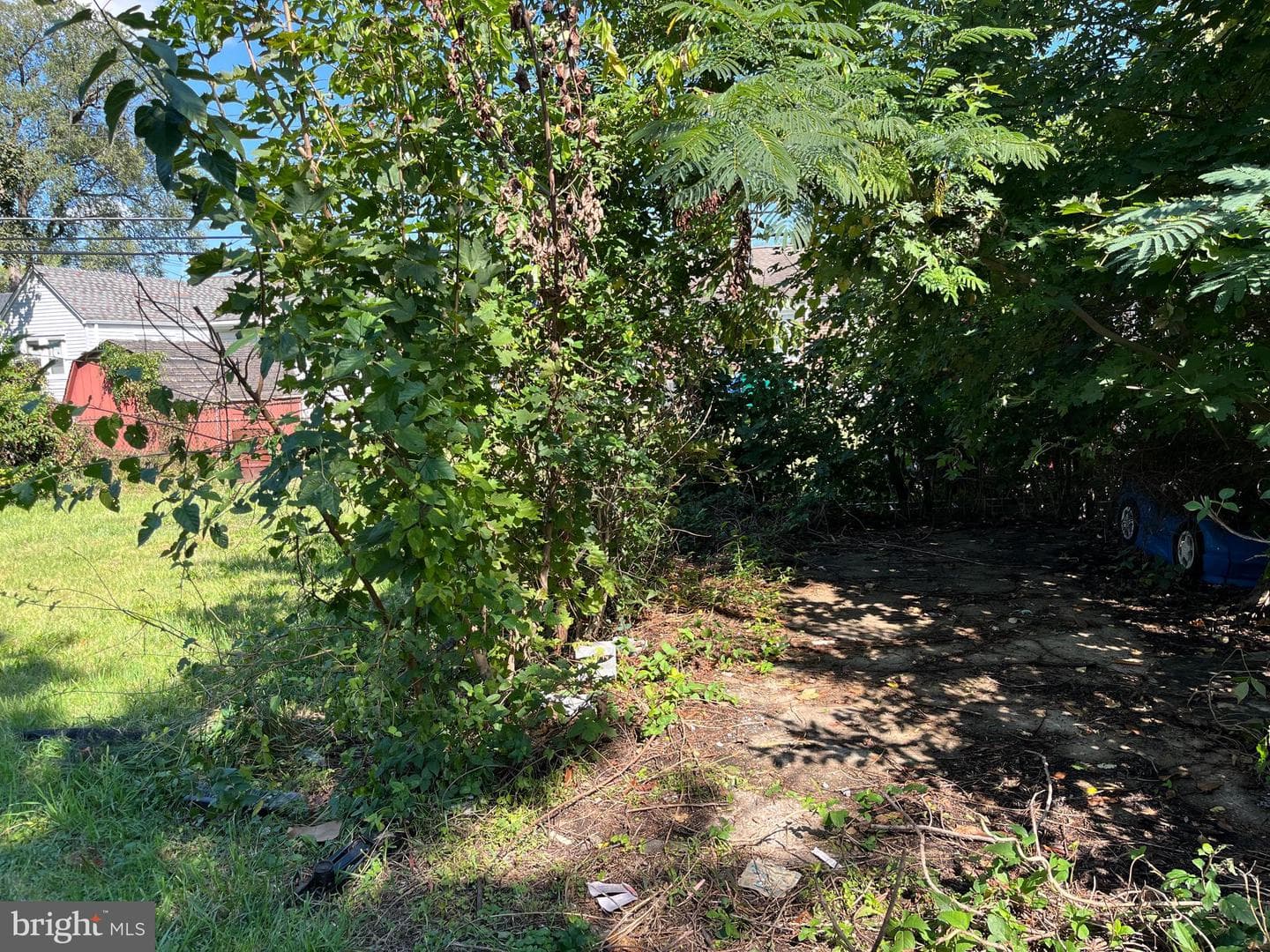 2205 Liberator Street photo 5
