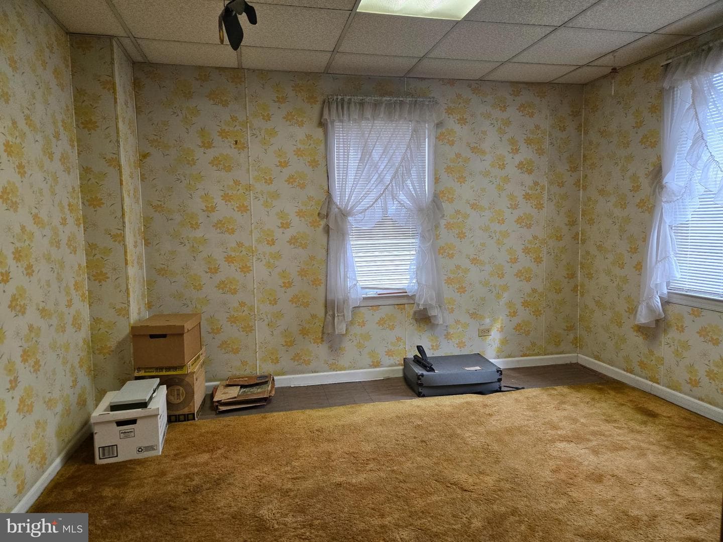 31 N Ambler Street photo 28
