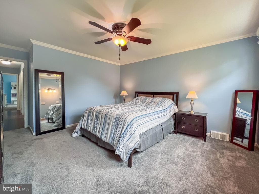 55 Mount Pleasant Drive photo 15
