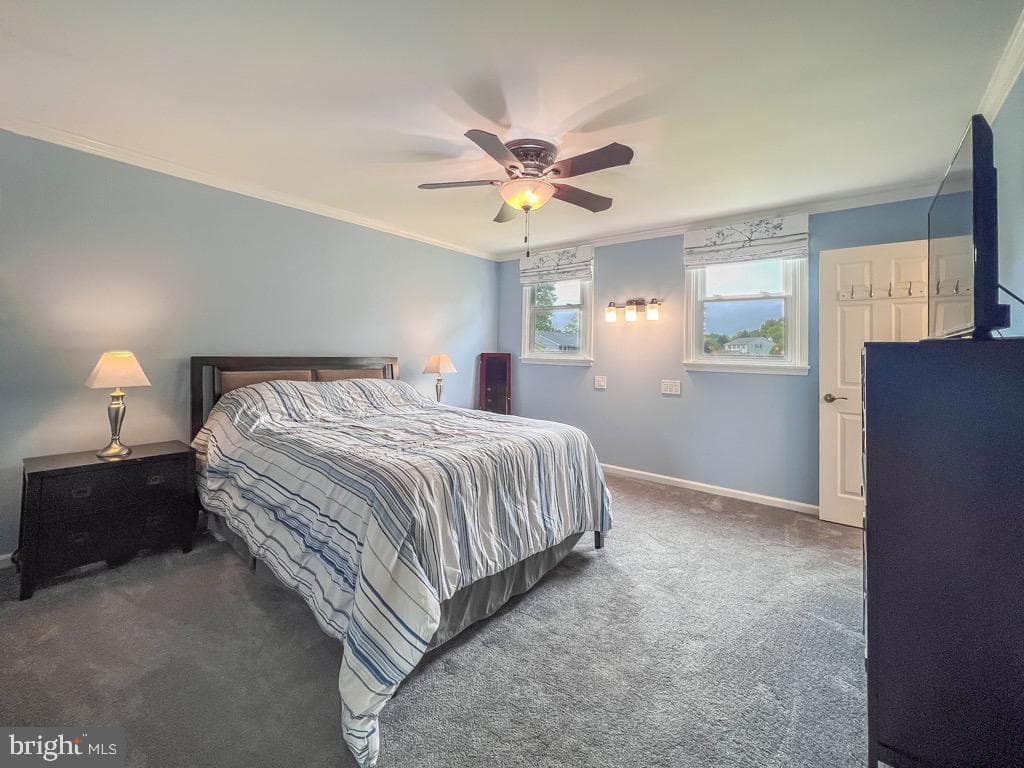 55 Mount Pleasant Drive photo 16