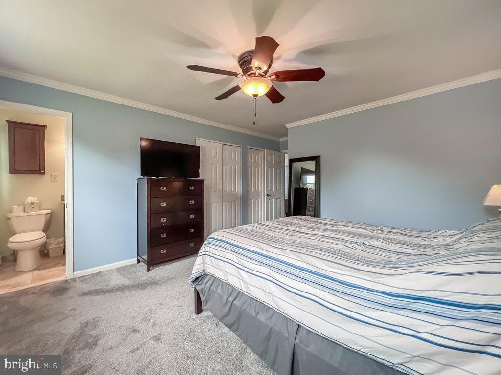 55 Mount Pleasant Drive photo 17