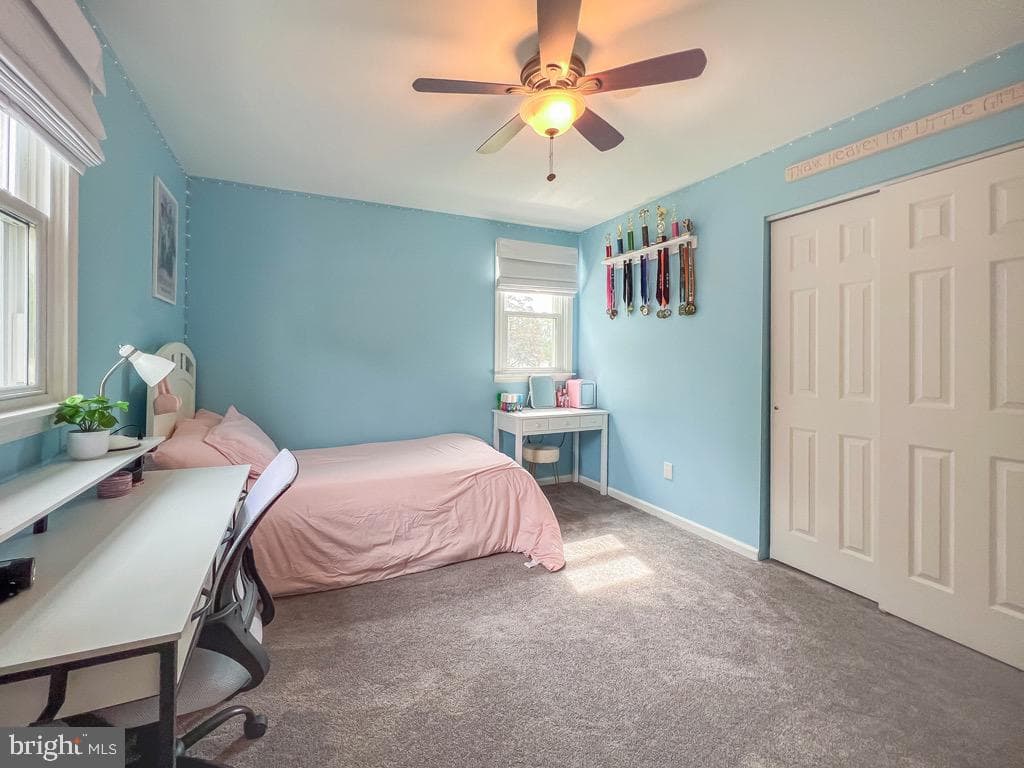 55 Mount Pleasant Drive photo 20