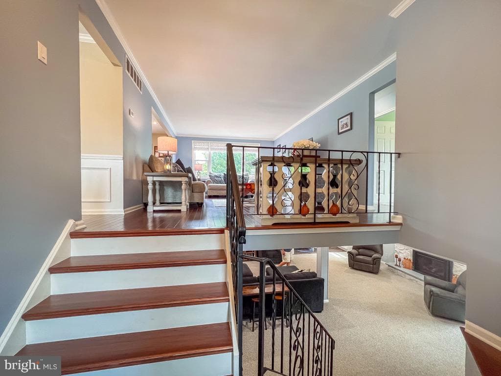55 Mount Pleasant Drive photo 25