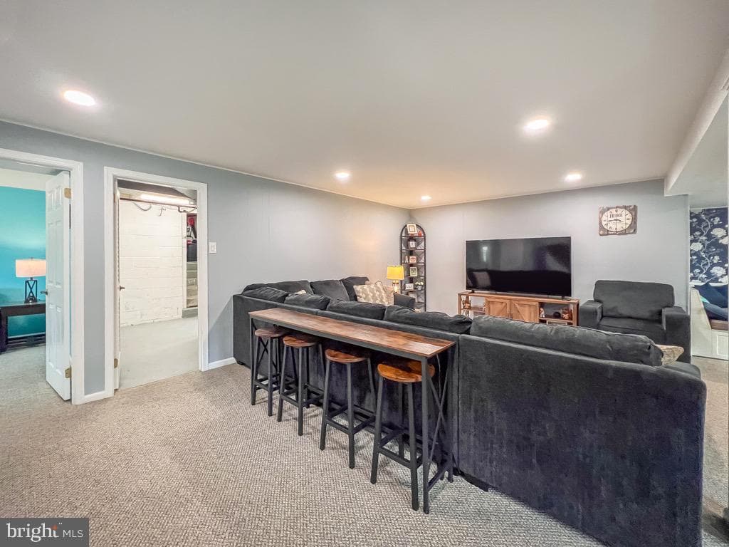 55 Mount Pleasant Drive photo 28