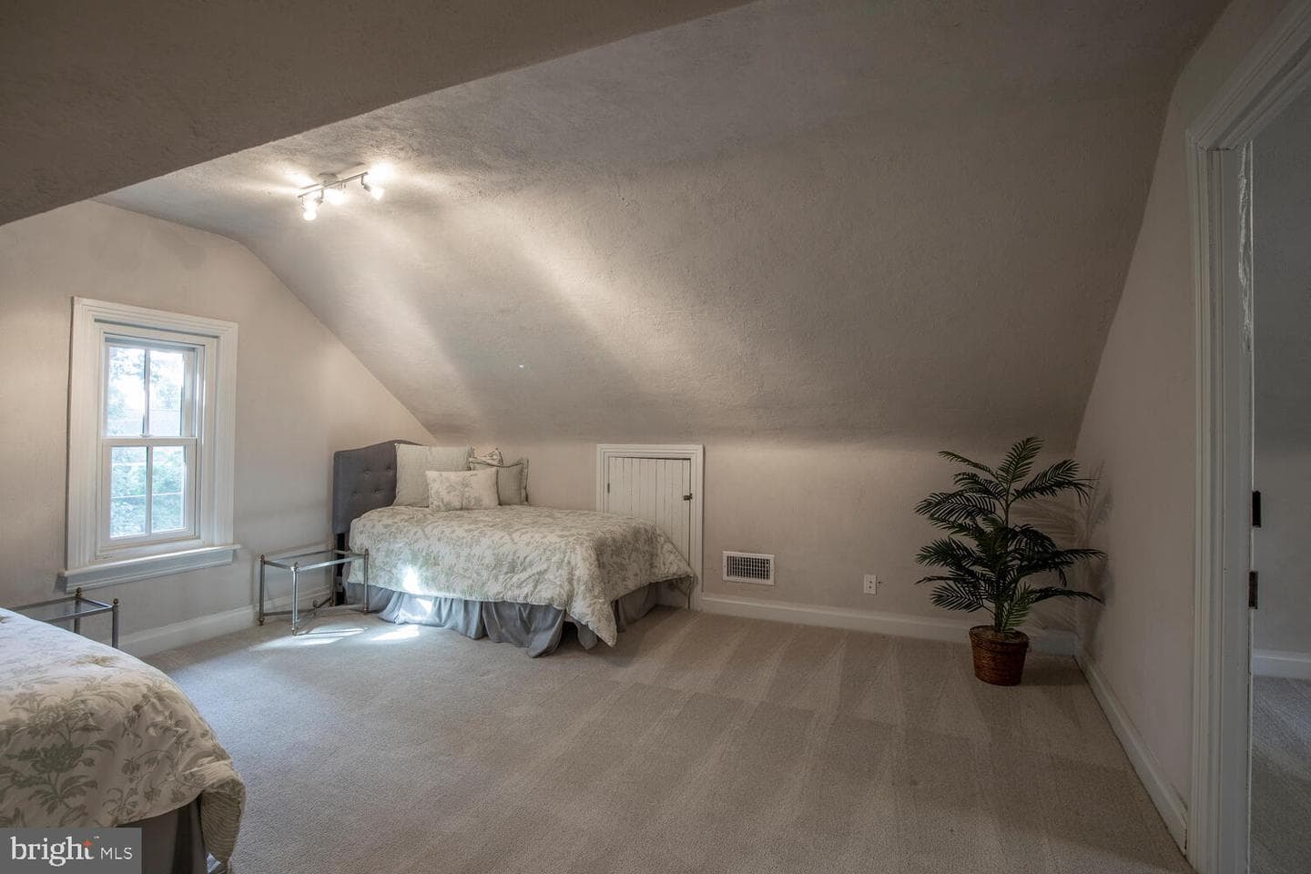 121 Cottage Street photo 34