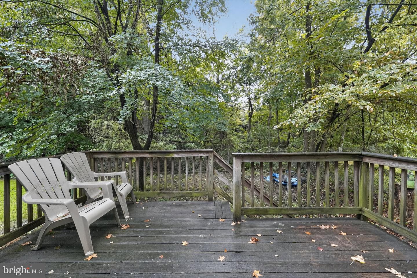 389 Mckinley Avenue photo 31