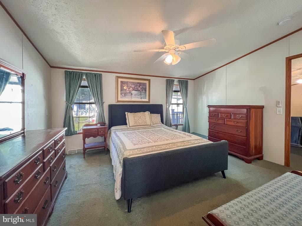 2304 Brownsville Road #1216 photo 18
