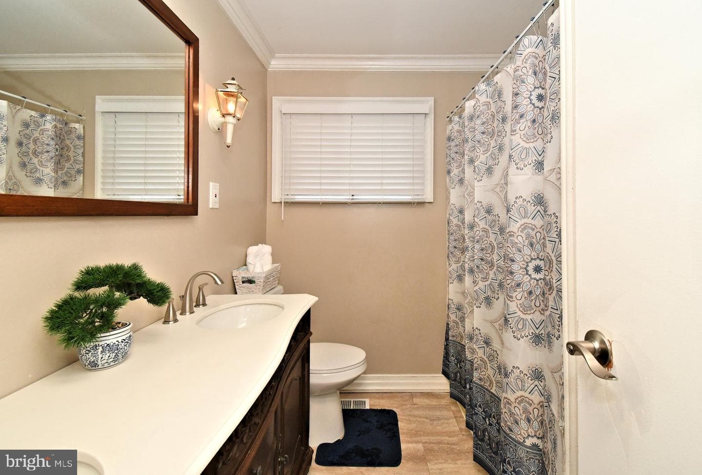 208 Suffolk Road photo 20