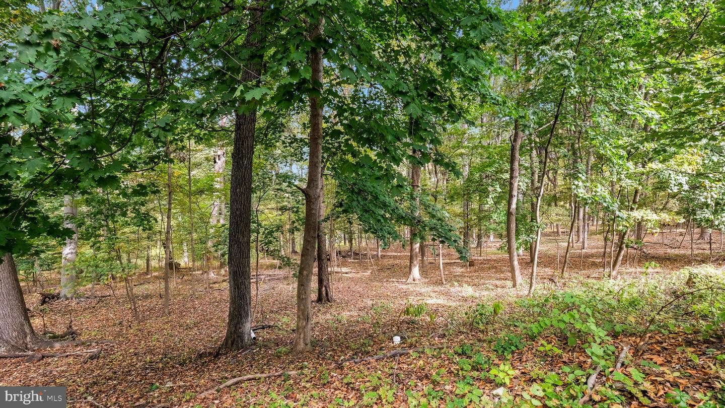 2443 Sugar Bottom Road photo 14