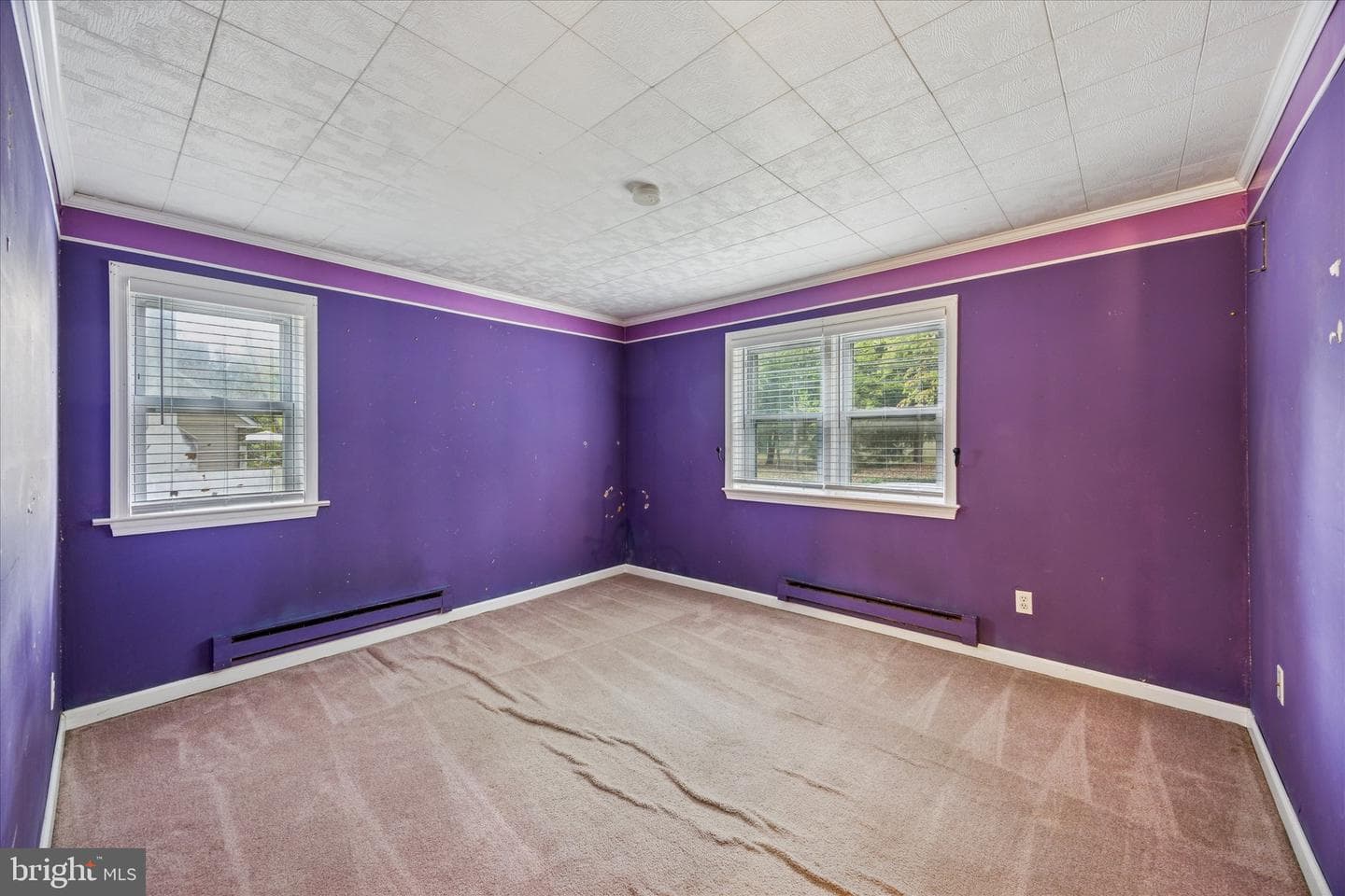 29 Langhorne Avenue photo 18