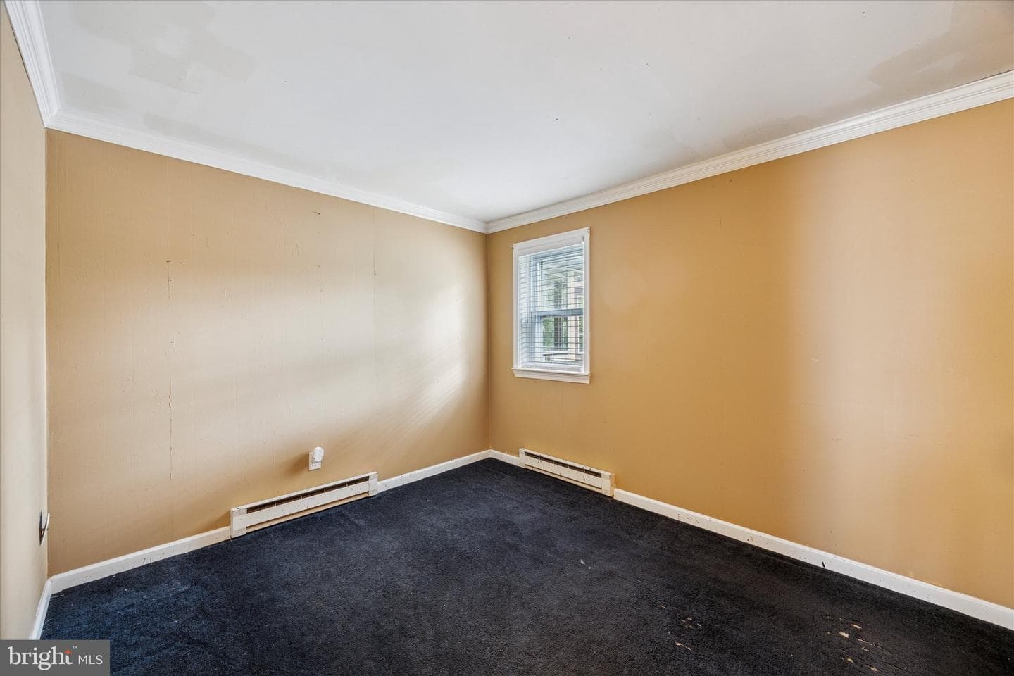 29 Langhorne Avenue photo 20