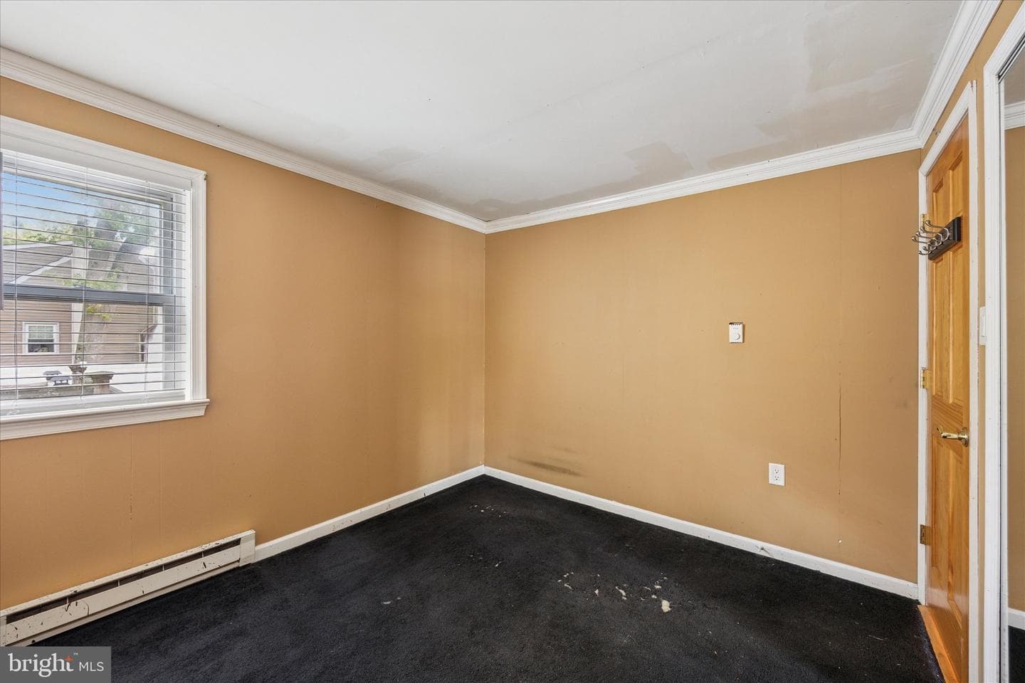 29 Langhorne Avenue photo 21