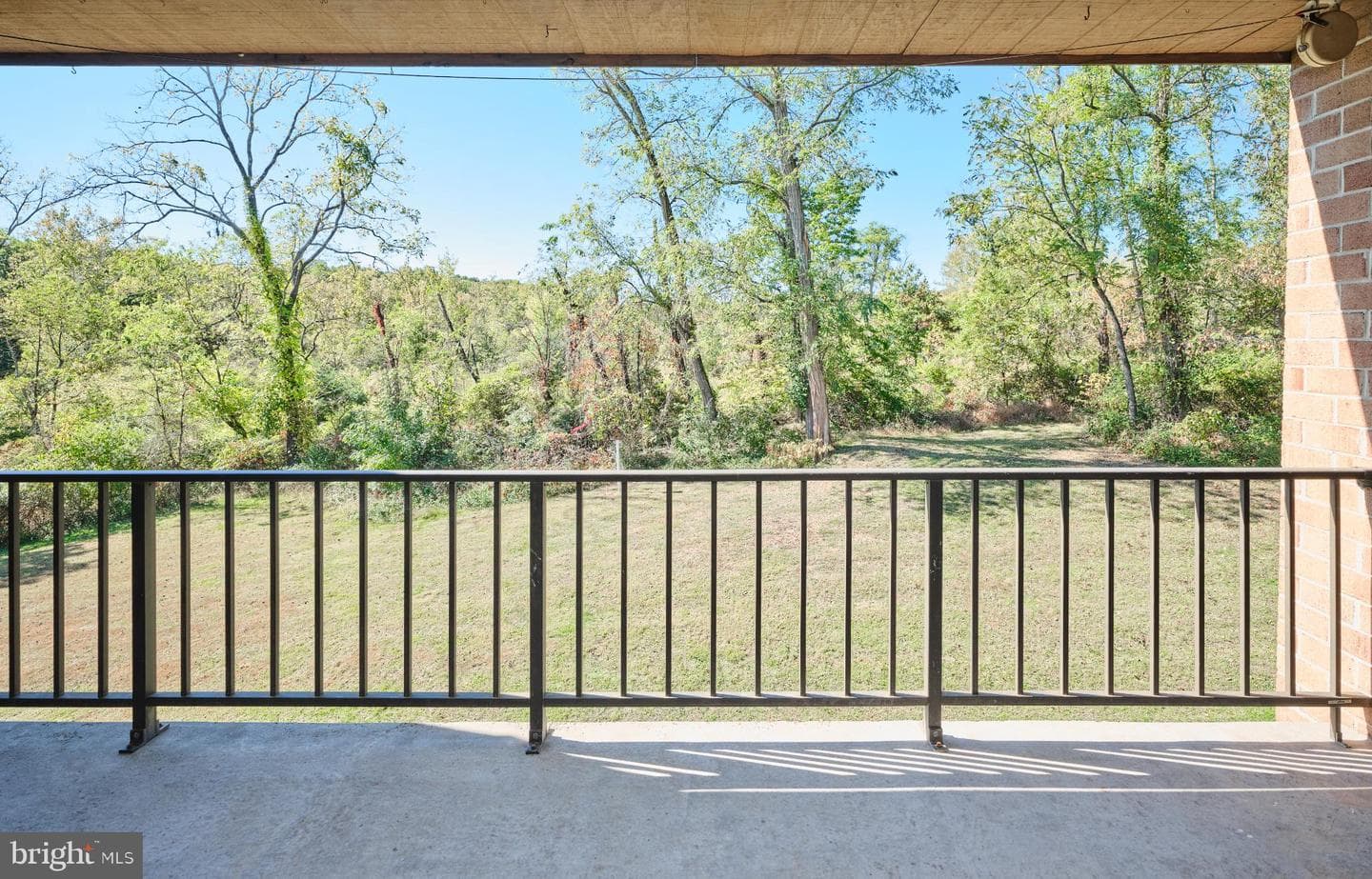 56 Hermitage Drive photo 16