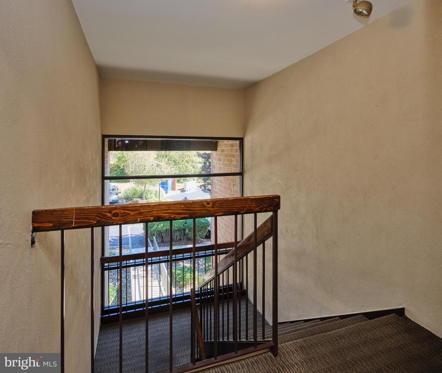 56 Hermitage Drive photo 19