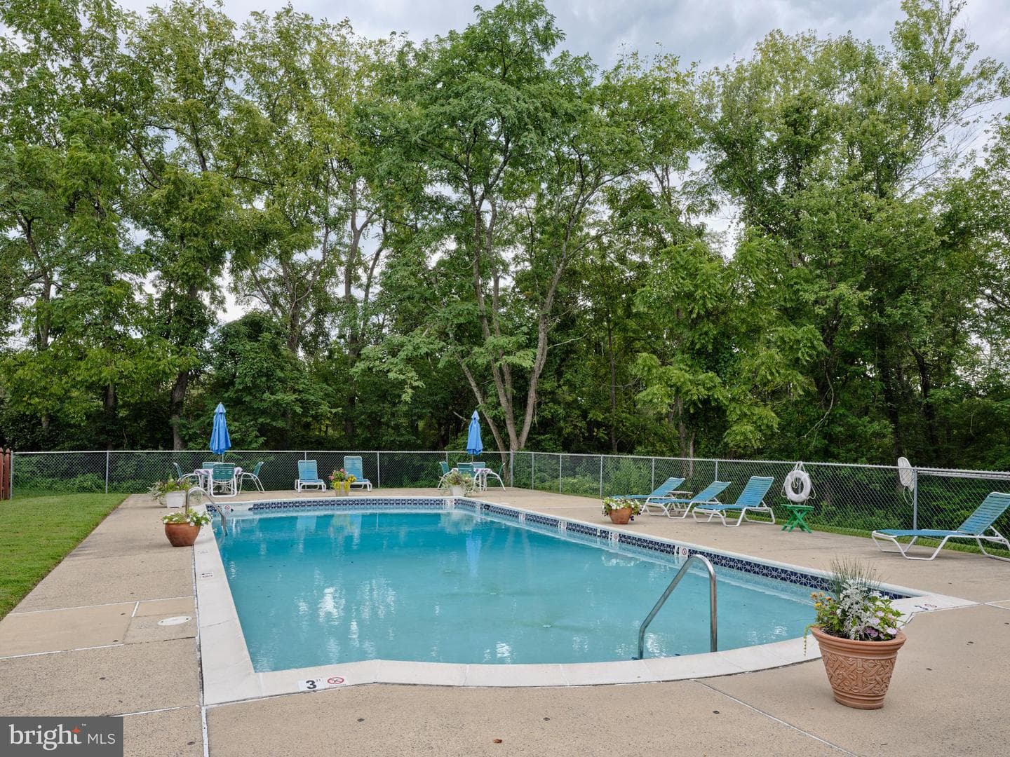 56 Hermitage Drive photo 20