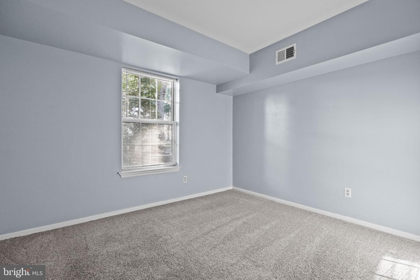105 Hopkins Court photo 20