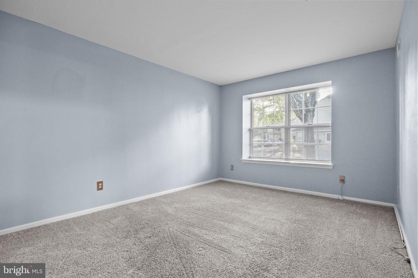 105 Hopkins Court photo 21