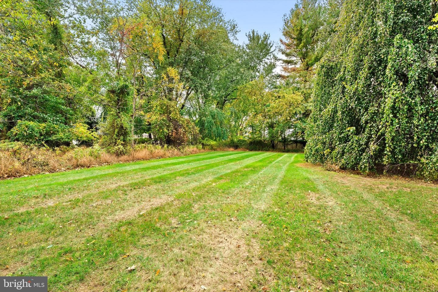 1569 Doe Trail Lane photo 43