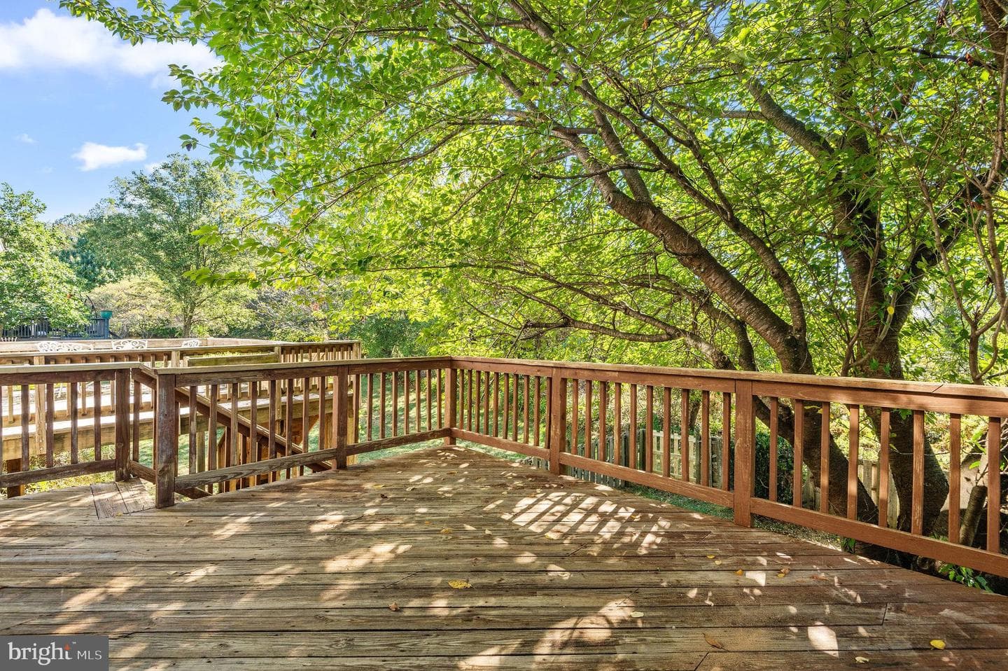 52 Yorkshire Drive photo 30