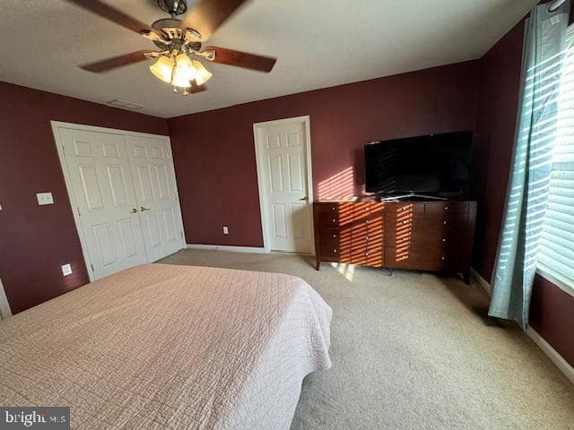 76 Lilly Drive photo 13