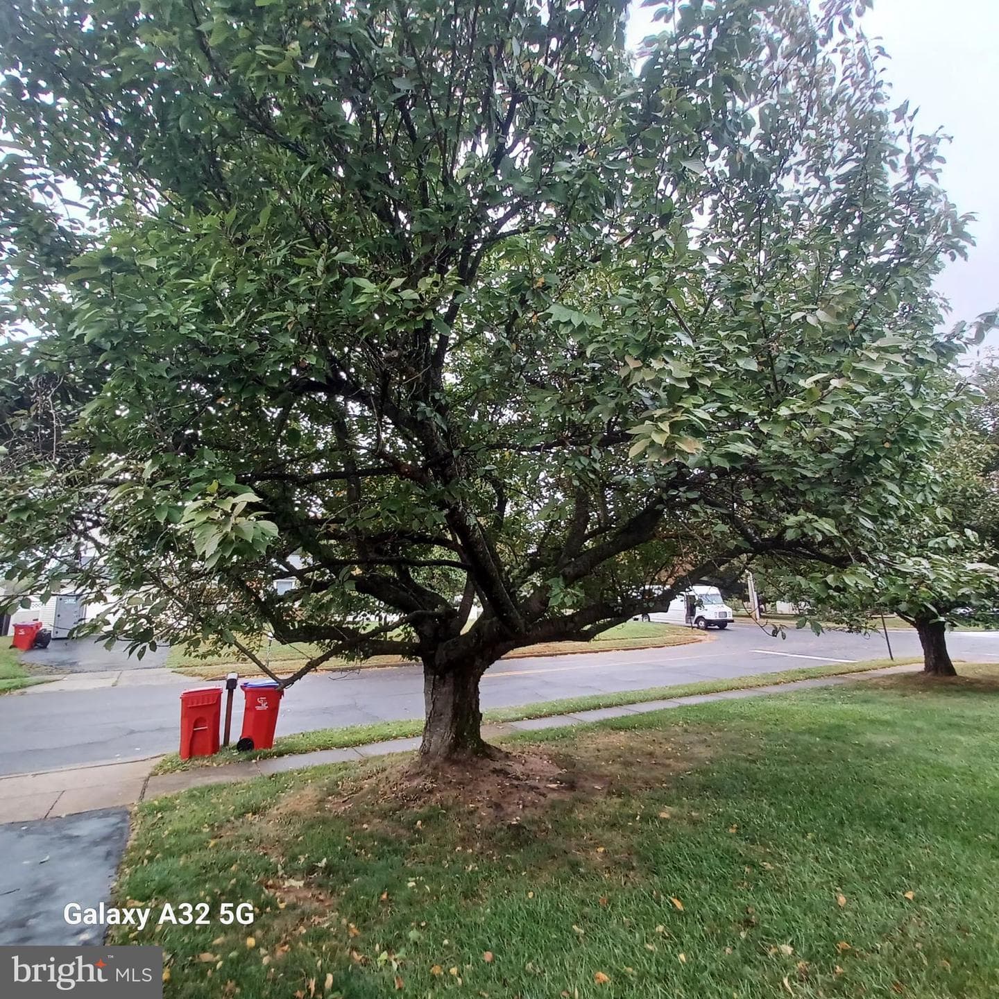451 Twin Streams Drive photo 3