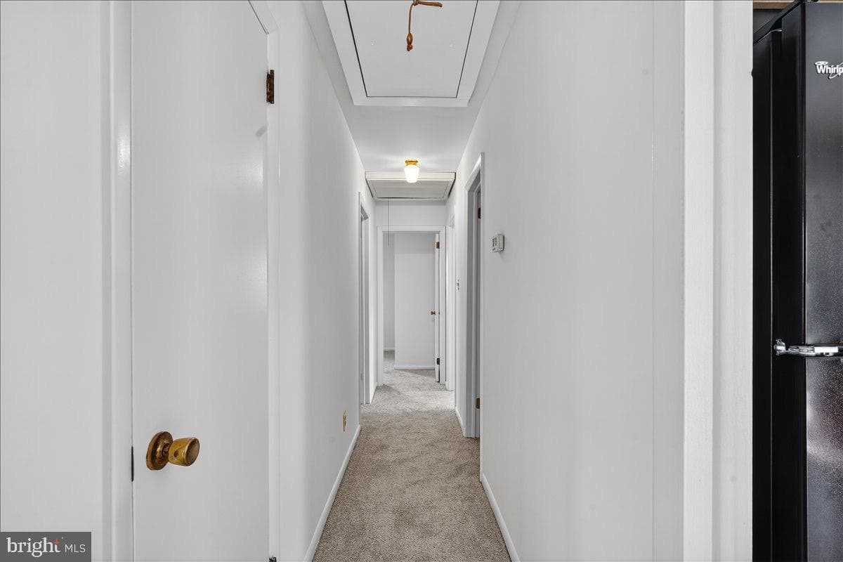 161 Maple Avenue photo 12