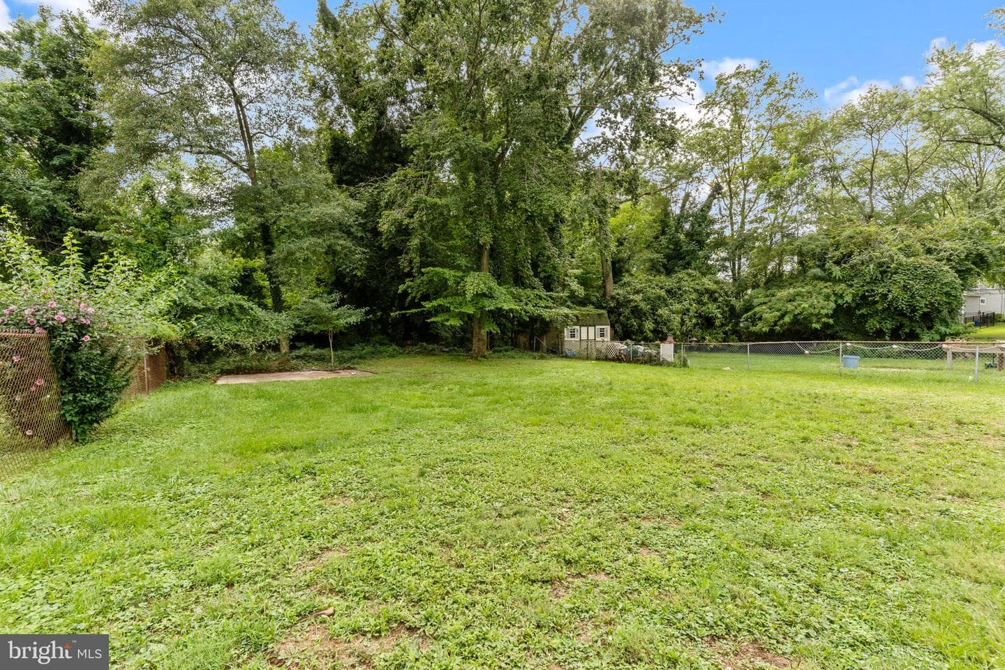 387 Larchwood Avenue photo 26