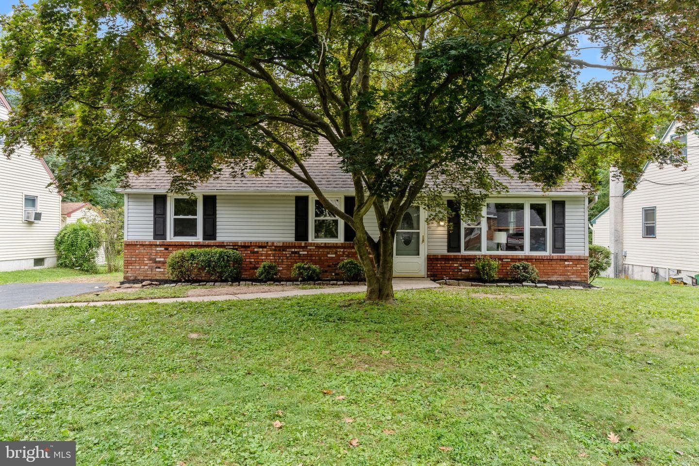 387 Larchwood Avenue photo 3