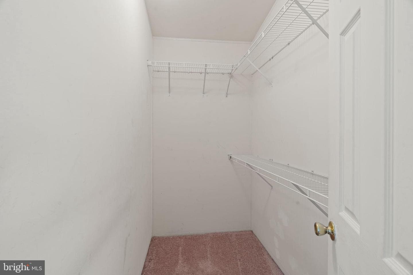 561 Spring Meadow Circle photo 19