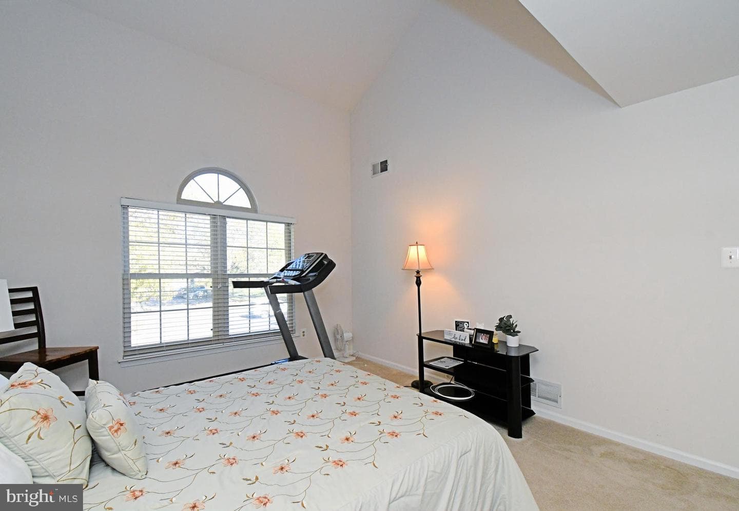 210 Remington Court photo 23