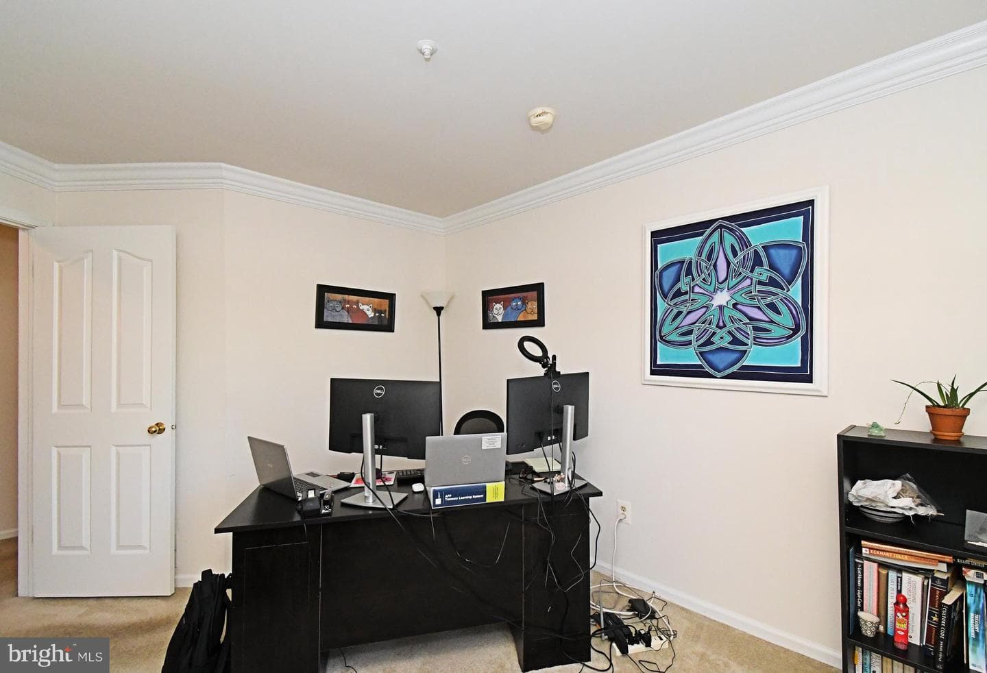 210 Remington Court photo 26