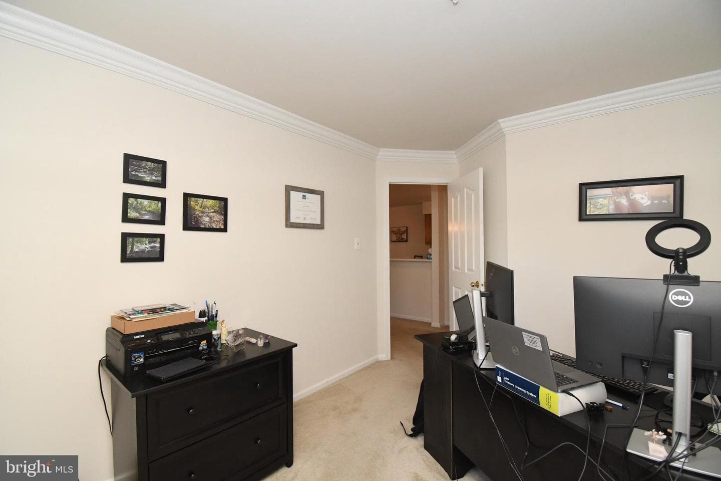210 Remington Court photo 27